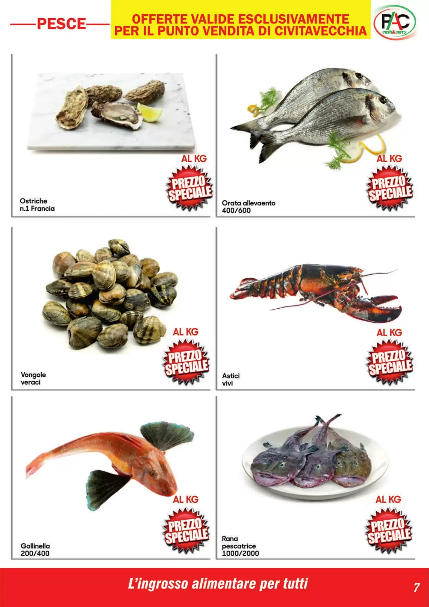 Volantino promozionale Pac Cash&Carry  valide dal 19/10/2026 - Pagina 7.