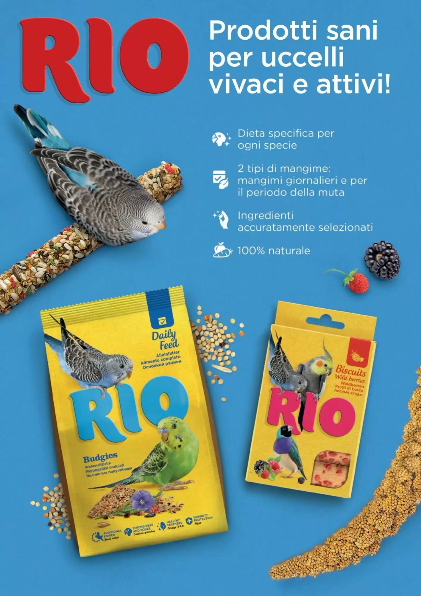 Volantino promozionale ZooPlanet  valide dal 08/12/2026 - Pagina 12.