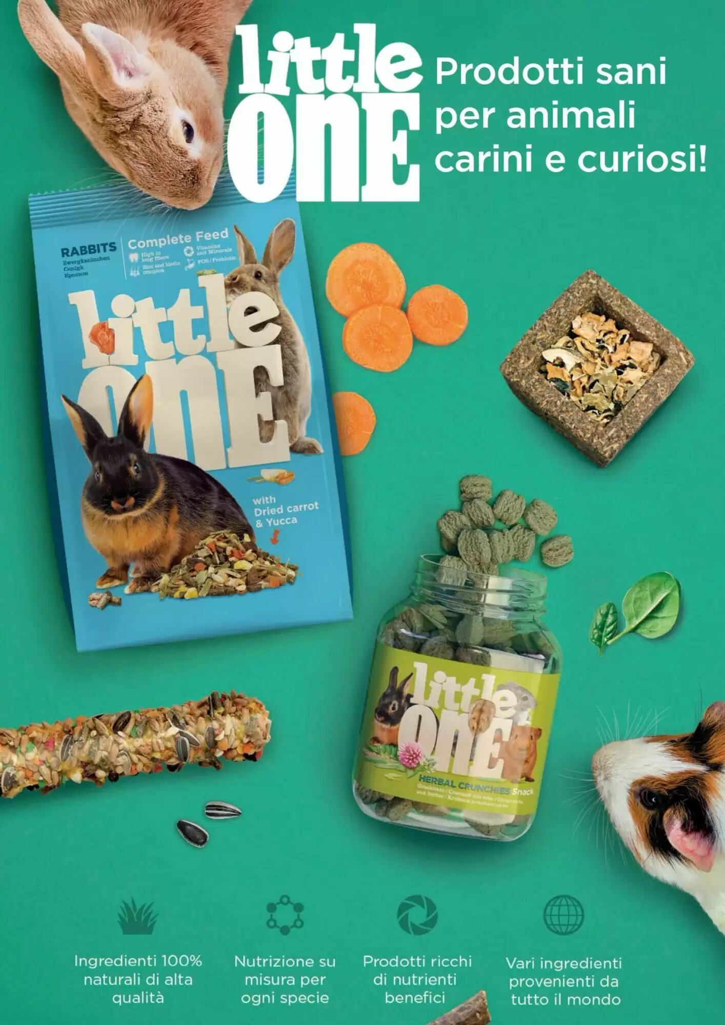Volantino promozionale ZooPlanet  valide dal 08/12/2026 - Pagina 13.