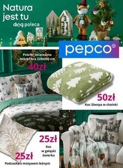 Gazetka promocyjna Pepco ważna od 22.10.2025