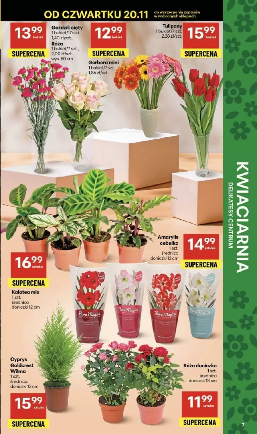 Gazetka promocyjna Delikatesy Centrum  ważna od 20.11.2025 - Strona 7.