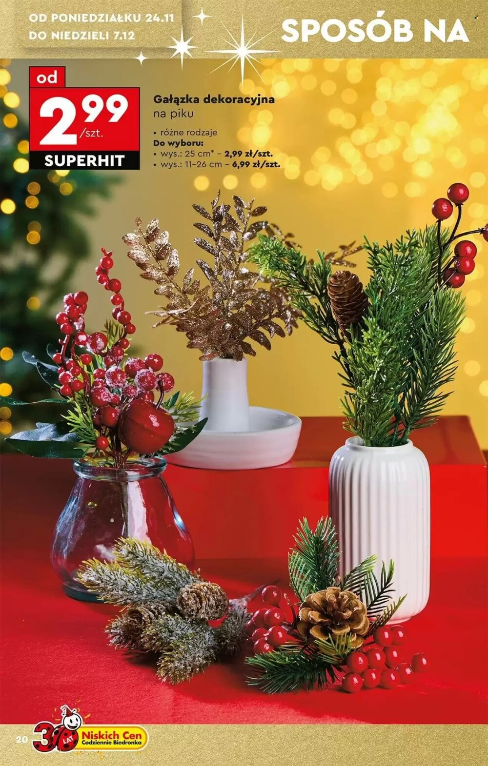 Gazetka promocyjna Biedronka  ważna od 22.11.2025 - Strona 20.