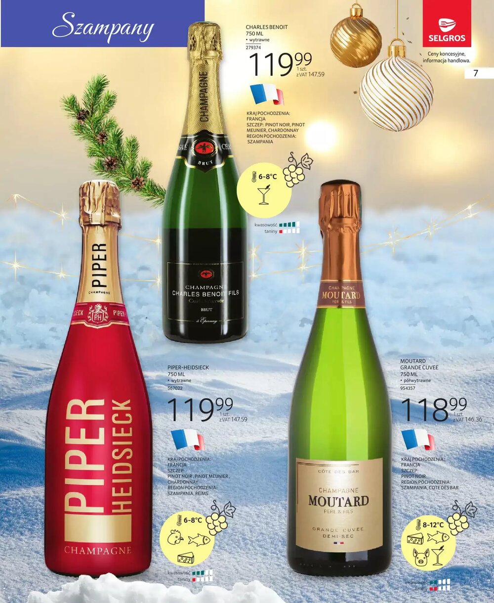 Gazetka promocyjna Selgros  ważna od 04.12.2025 - Strona 7.
