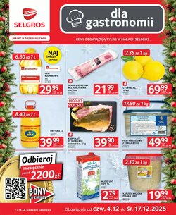 Gazetka promocyjna Selgros ważna od 04.12.2025