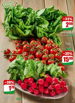 Gazetka promocyjna Dino  ważna od 07.01.2026 - Strona 33.