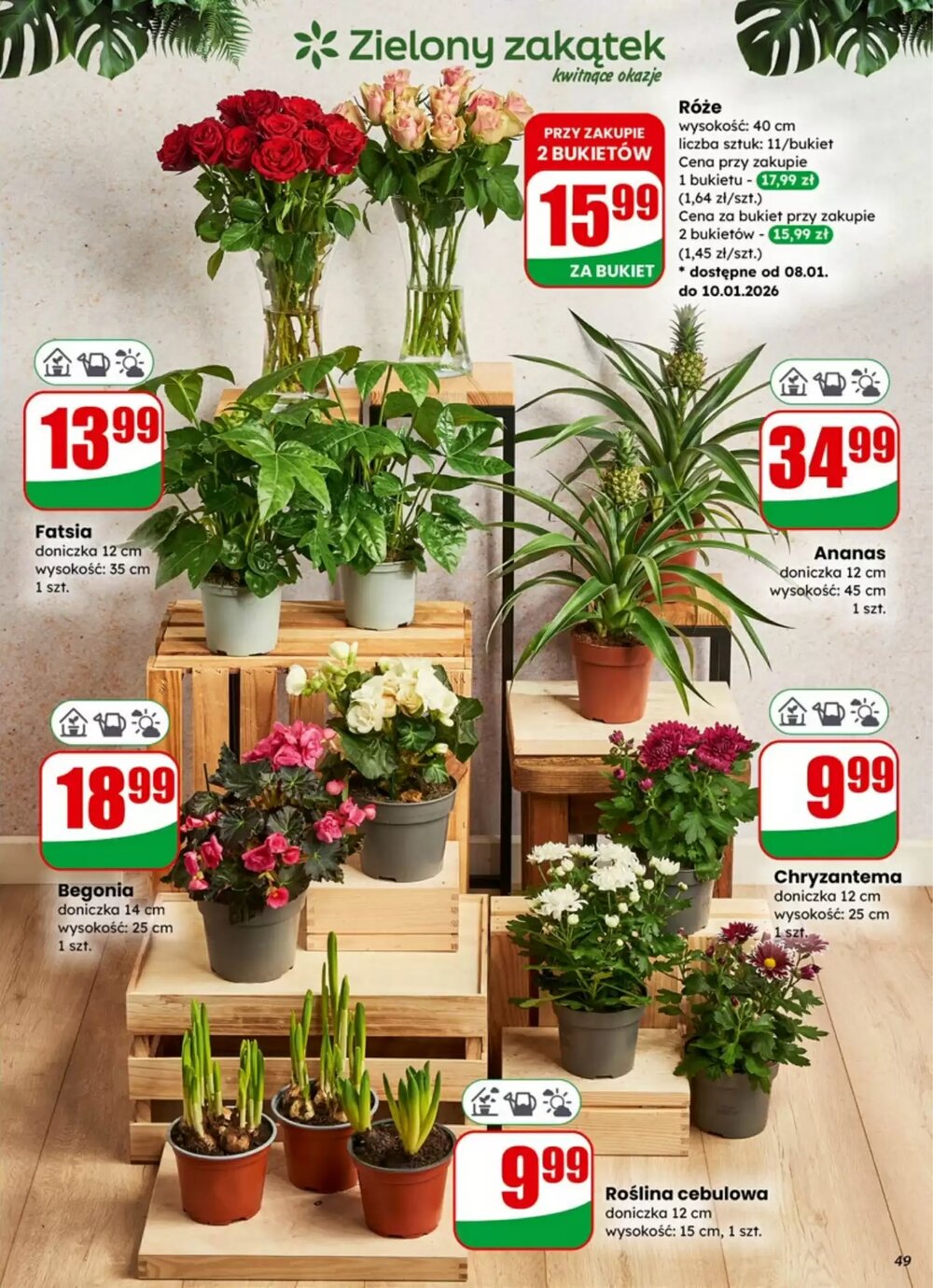 Gazetka promocyjna Dino  ważna od 07.01.2026 - Strona 49.