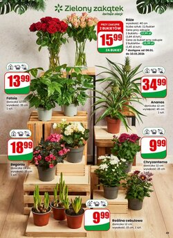 Gazetka promocyjna Dino  ważna od 07.01.2026 - Strona 49.