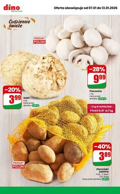 Gazetka promocyjna Dino  ważna od 07.01.2026 - Strona 7.
