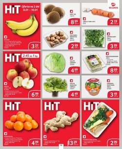 Gazetka promocyjna Selgros  ważna od 08.01.2026 - Strona 31.