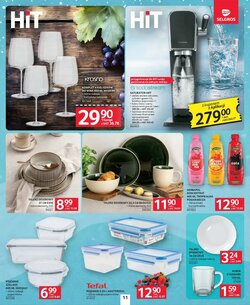 Gazetka promocyjna Selgros  ważna od 08.01.2026 - Strona 13.