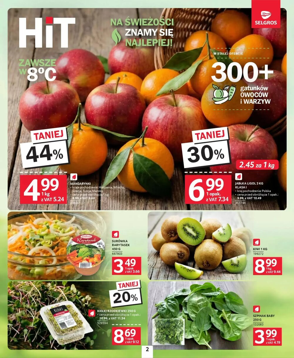 Gazetka promocyjna Selgros  ważna od 08.01.2026 - Strona 2.