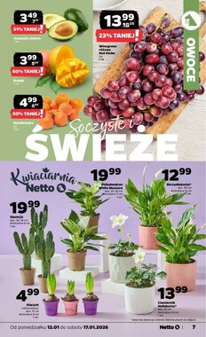 Gazetka promocyjna Netto ważna od 12.01.2026 - Strona 7.