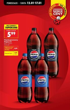 Gazetka promocyjna Biedronka  ważna od 12.01.2026 - Strona 17.