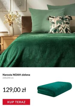 Gazetka promocyjna Homla  ważna od 12.01.2026 - Strona 6.