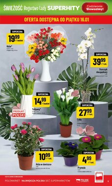 Gazetka promocyjna Polomarket  ważna od 14.01.2026 - Strona 5.