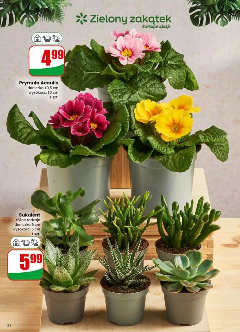 Gazetka promocyjna Dino  ważna od 14.01.2026 - Strona 22.