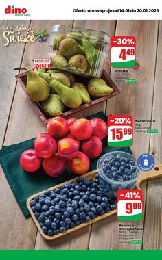 Gazetka promocyjna Dino  ważna od 14.01.2026 - Strona 7.