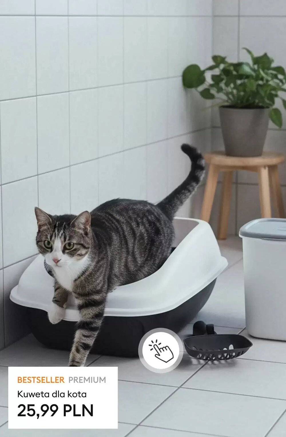 Gazetka promocyjna Sinsay  ważna od 14.01.2026 - Strona 7.