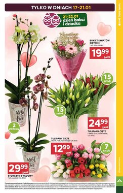 Gazetka promocyjna Stokrotka  ważna od 15.01.2026 - Strona 7.
