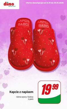 Gazetka promocyjna Dino  ważna od 15.01.2026 - Strona 7.