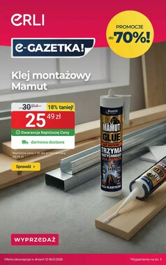 Gazetka promocyjna ERLI  ważna od 16.01.2026