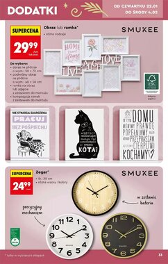 Gazetka promocyjna Biedronka  ważna od 17.01.2026 - Strona 33.