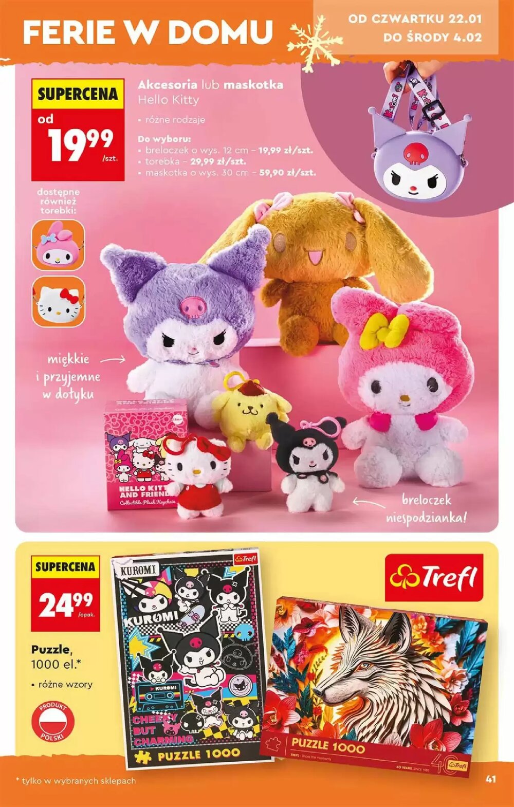 Gazetka promocyjna Biedronka  ważna od 17.01.2026 - Strona 41.