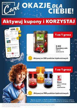 Gazetka promocyjna Kaufland  ważna od 17.01.2026 - Strona 17.