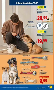 Gazetka promocyjna Lidl  ważna od 19.01.2026 - Strona 17.