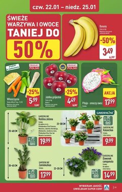 Gazetka promocyjna ALDI  ważna od 19.01.2026 - Strona 19.
