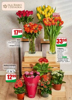 Gazetka promocyjna Dino  ważna od 21.01.2026 - Strona 13.