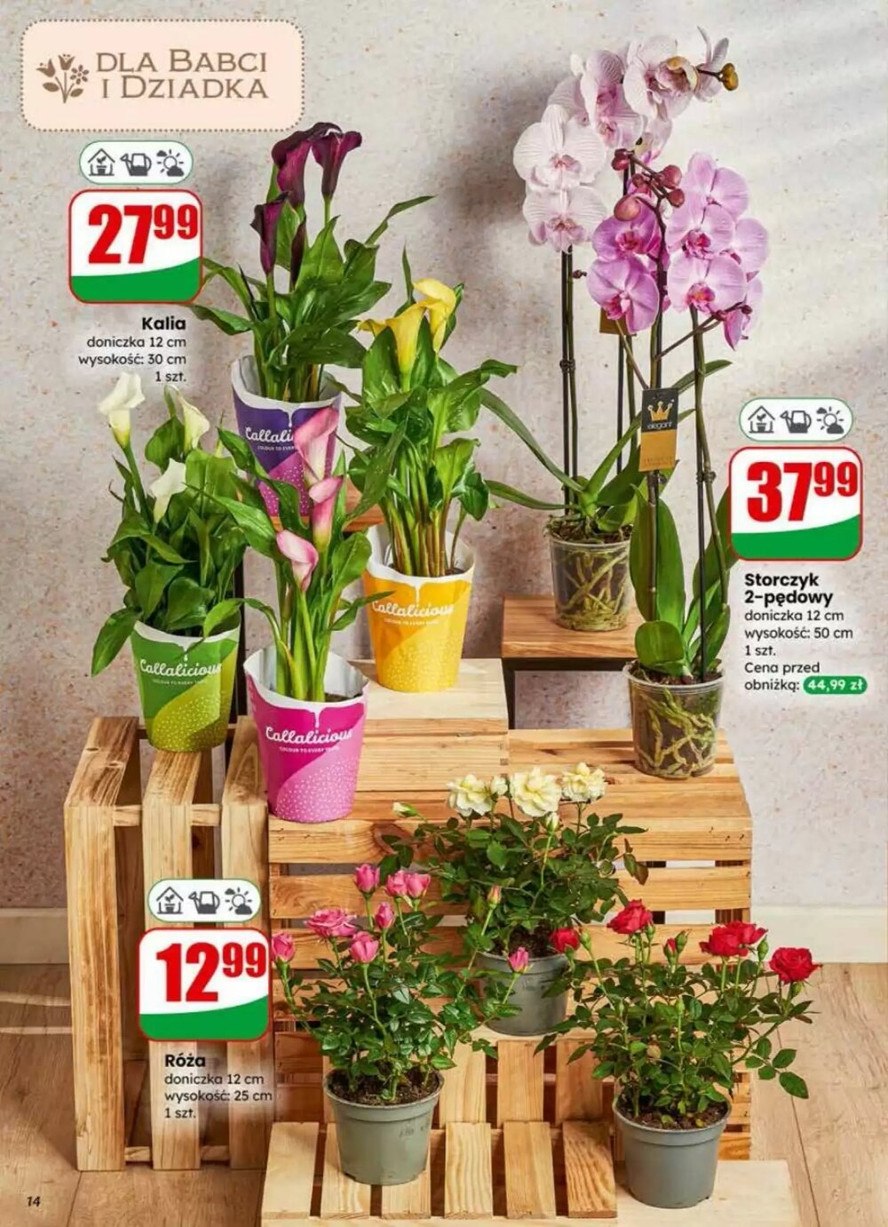 Gazetka promocyjna Dino  ważna od 21.01.2026 - Strona 14.