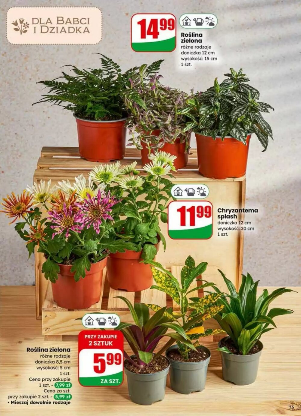 Gazetka promocyjna Dino  ważna od 21.01.2026 - Strona 15.