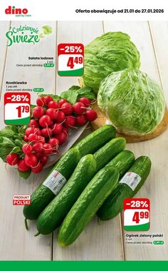 Gazetka promocyjna Dino  ważna od 21.01.2026 - Strona 7.