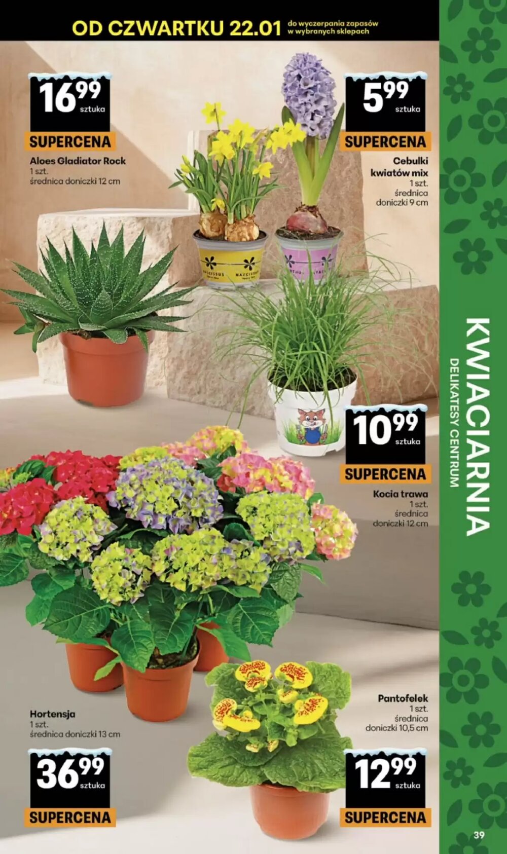 Gazetka promocyjna Delikatesy Centrum  ważna od 22.01.2026 - Strona 39.