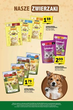 Gazetka promocyjna Groszek ważna od 22.01.2026 - Strona 29.