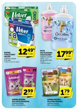 Gazetka promocyjna Groszek ważna od 22.01.2026 - Strona 29.