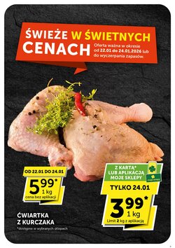 Gazetka promocyjna Groszek ważna od 22.01.2026 - Strona 4.