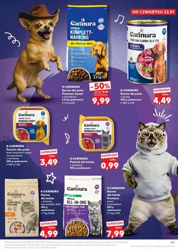 Gazetka promocyjna Kaufland ważna od 22.01.2026 - Strona 49.