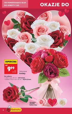 Gazetka promocyjna Biedronka  ważna od 24.01.2026 - Strona 10.