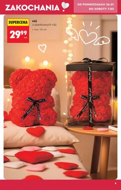 Gazetka promocyjna Biedronka  ważna od 24.01.2026 - Strona 11.