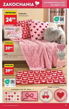 Gazetka promocyjna Biedronka  ważna od 24.01.2026 - Strona 15.