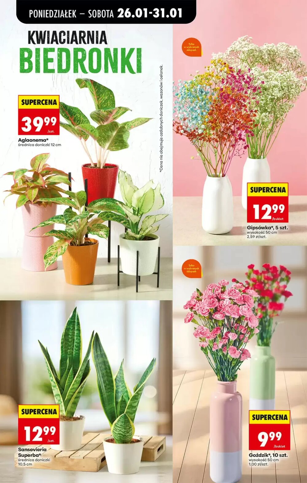 Gazetka promocyjna Biedronka  ważna od 26.01.2026 - Strona 23.