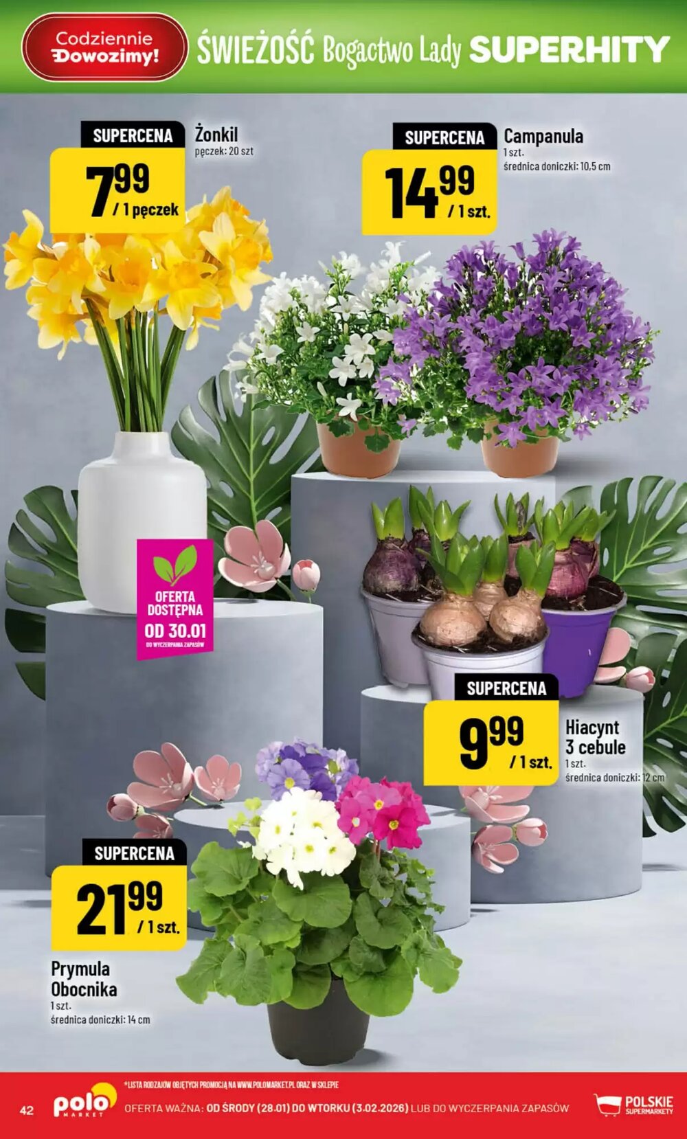 Gazetka promocyjna Polomarket  ważna od 28.01.2026 - Strona 42.