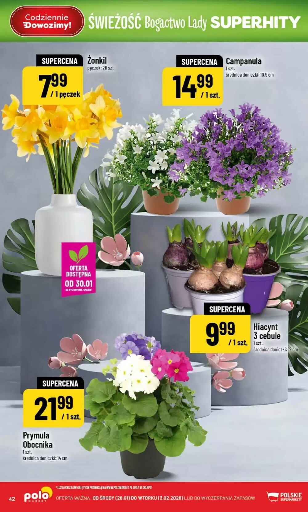 Gazetka promocyjna Polomarket  ważna od 28.01.2026 - Strona 42.