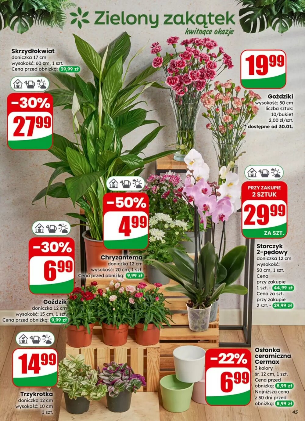 Gazetka promocyjna Dino  ważna od 28.01.2026 - Strona 45.