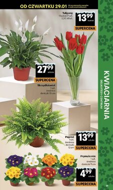 Gazetka promocyjna Delikatesy Centrum  ważna od 29.01.2026 - Strona 39.