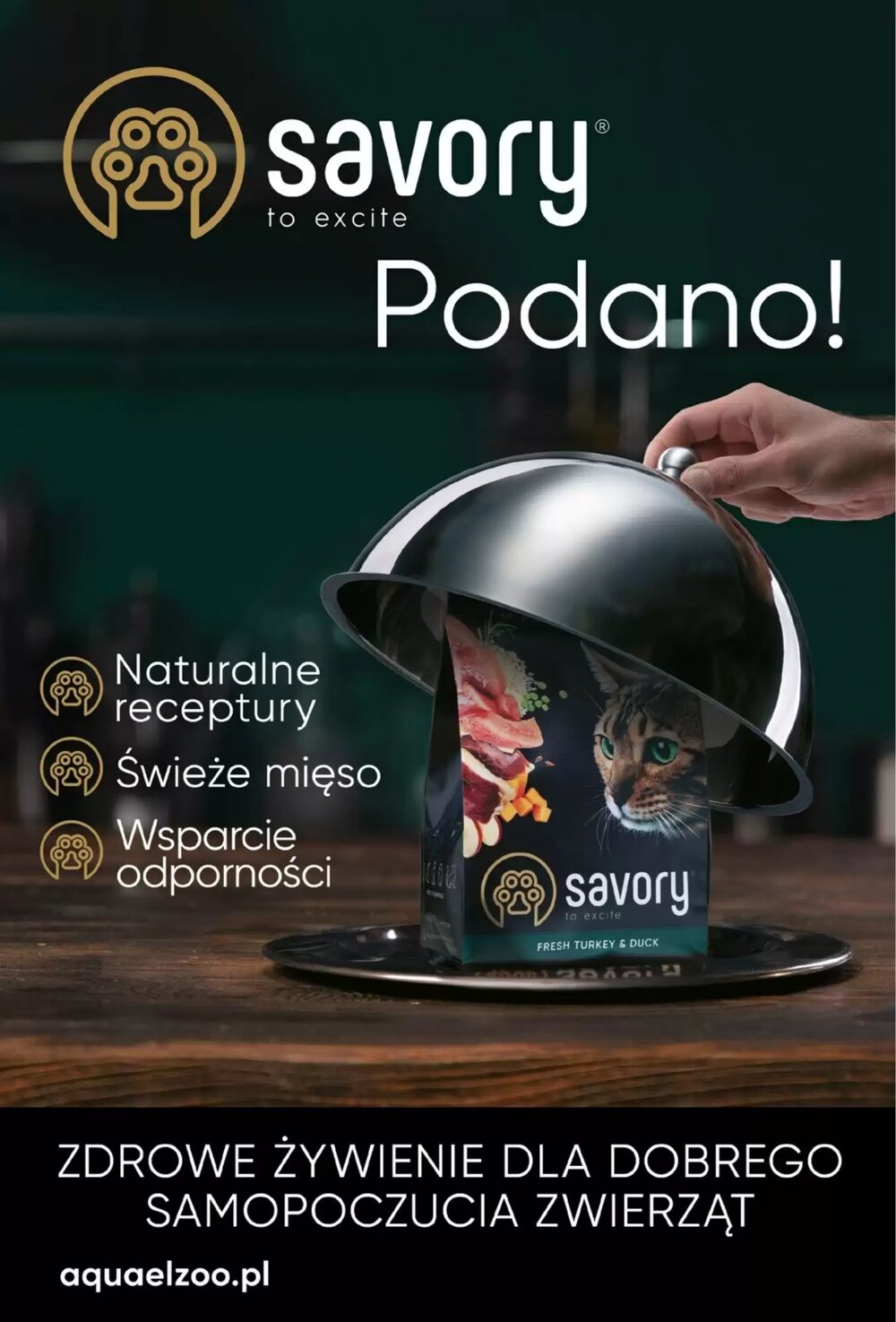 Gazetka promocyjna AquaelZOO  ważna od 02.02.2026 - Strona 10.