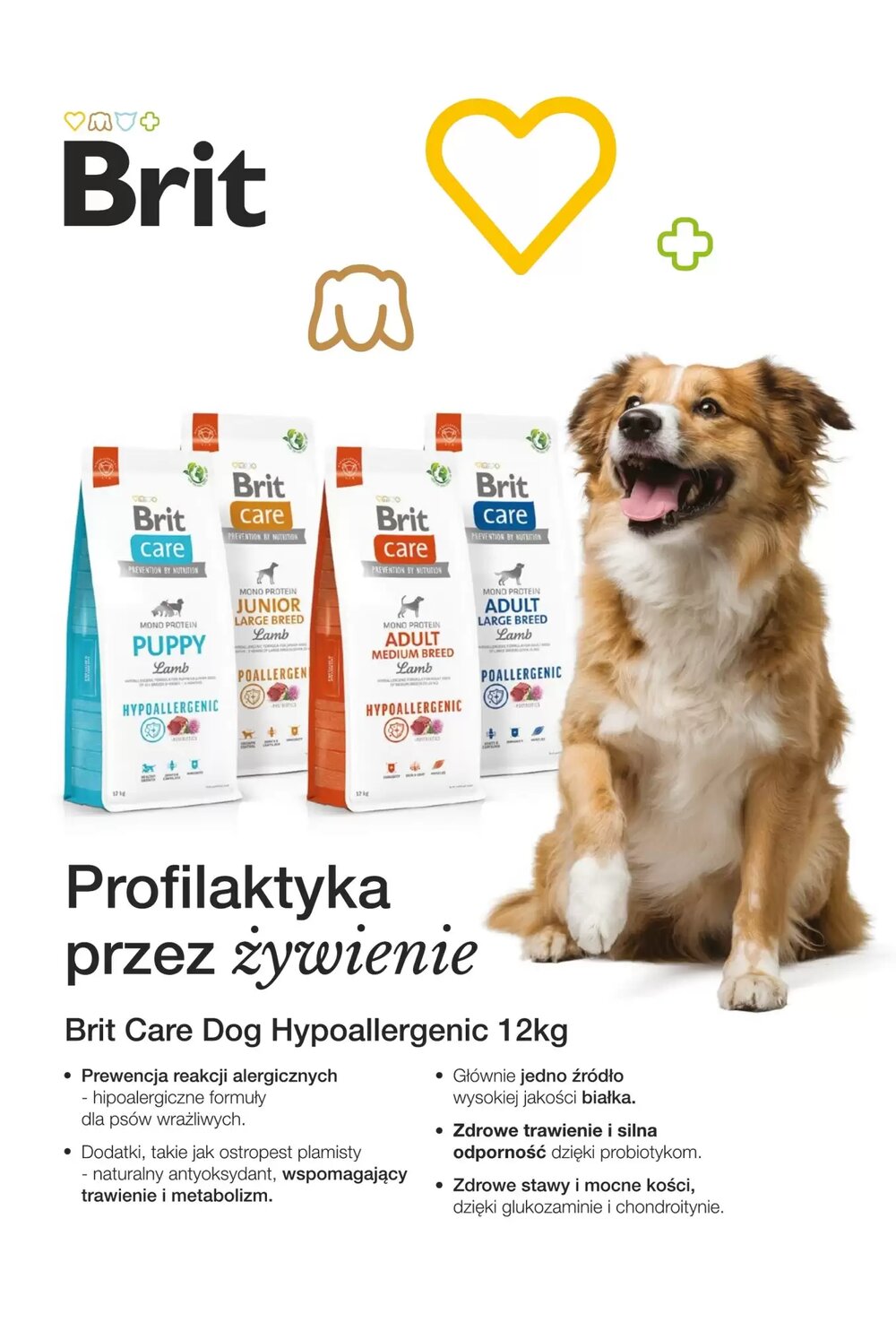 Gazetka promocyjna AquaelZOO  ważna od 02.02.2026 - Strona 16.