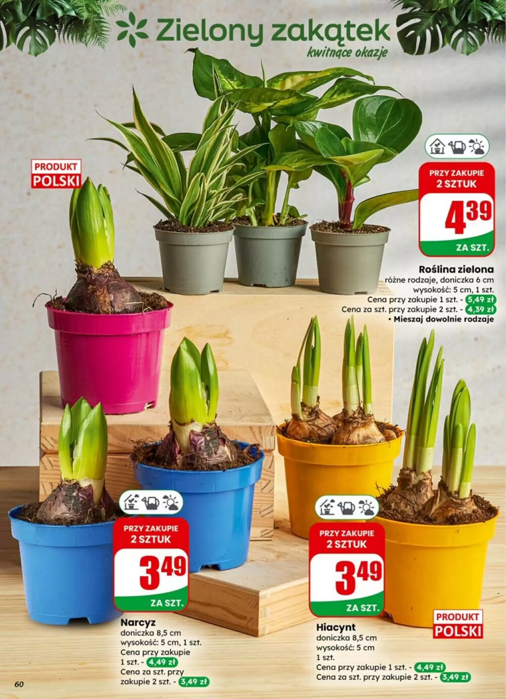 Gazetka promocyjna Dino  ważna od 04.02.2026 - Strona 60.